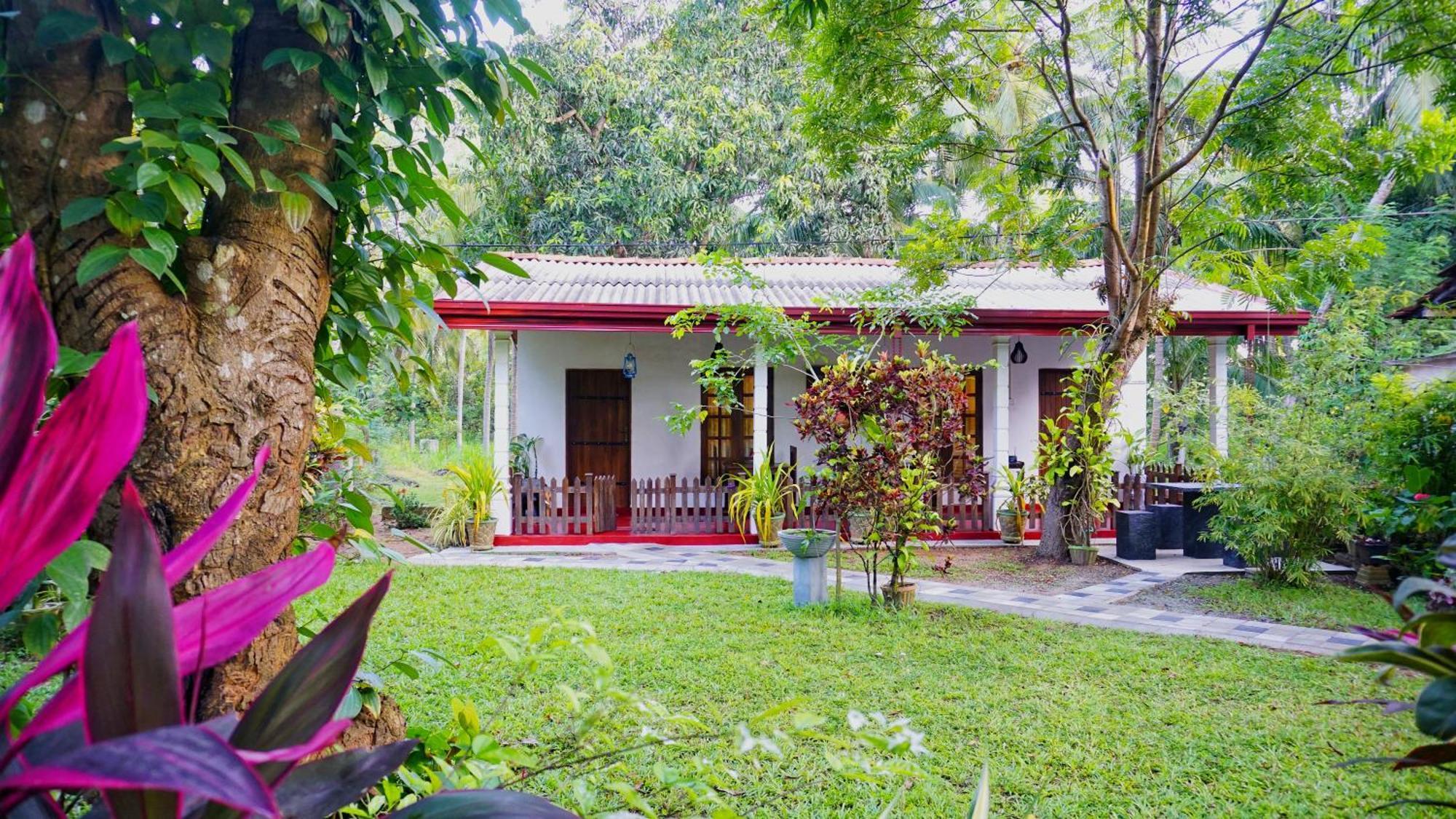 Lake Island Home Stay Dambulla Ngoại thất bức ảnh