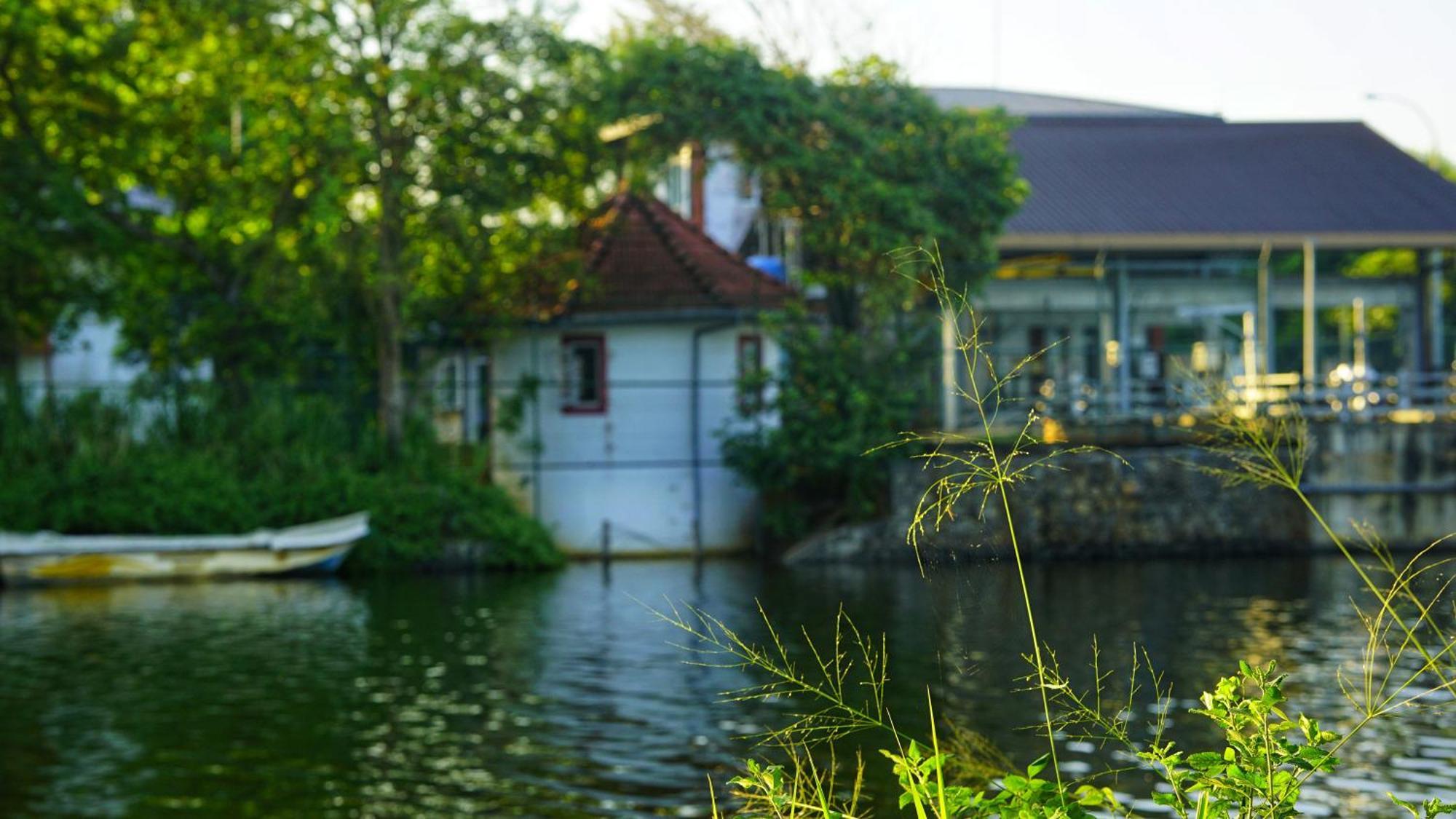 Lake Island Home Stay Dambulla Ngoại thất bức ảnh